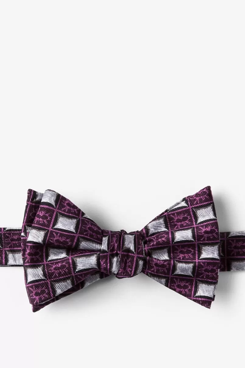 Ties Bed Bugs Purple Self-Tie Bow Tie New