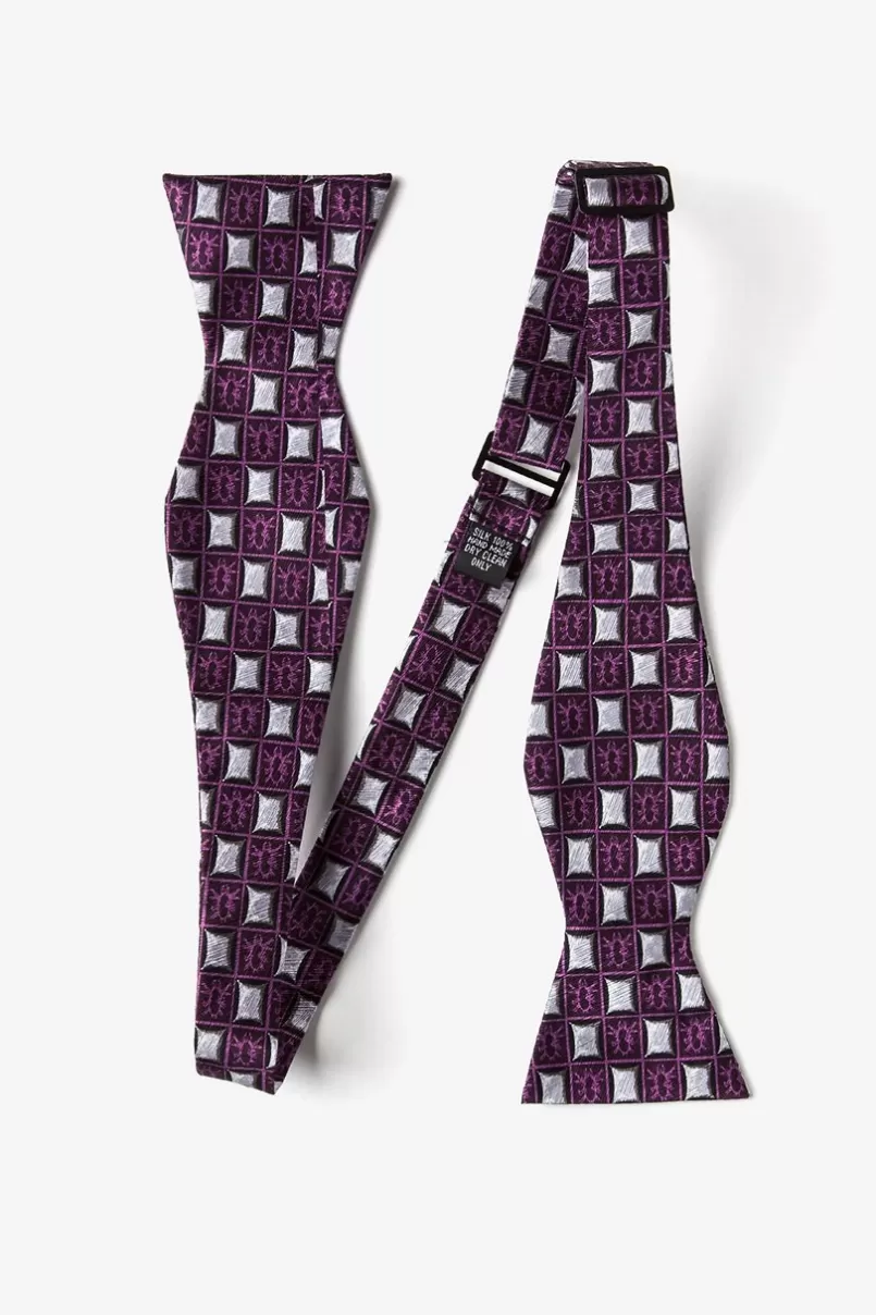 Ties Bed Bugs Purple Self-Tie Bow Tie New