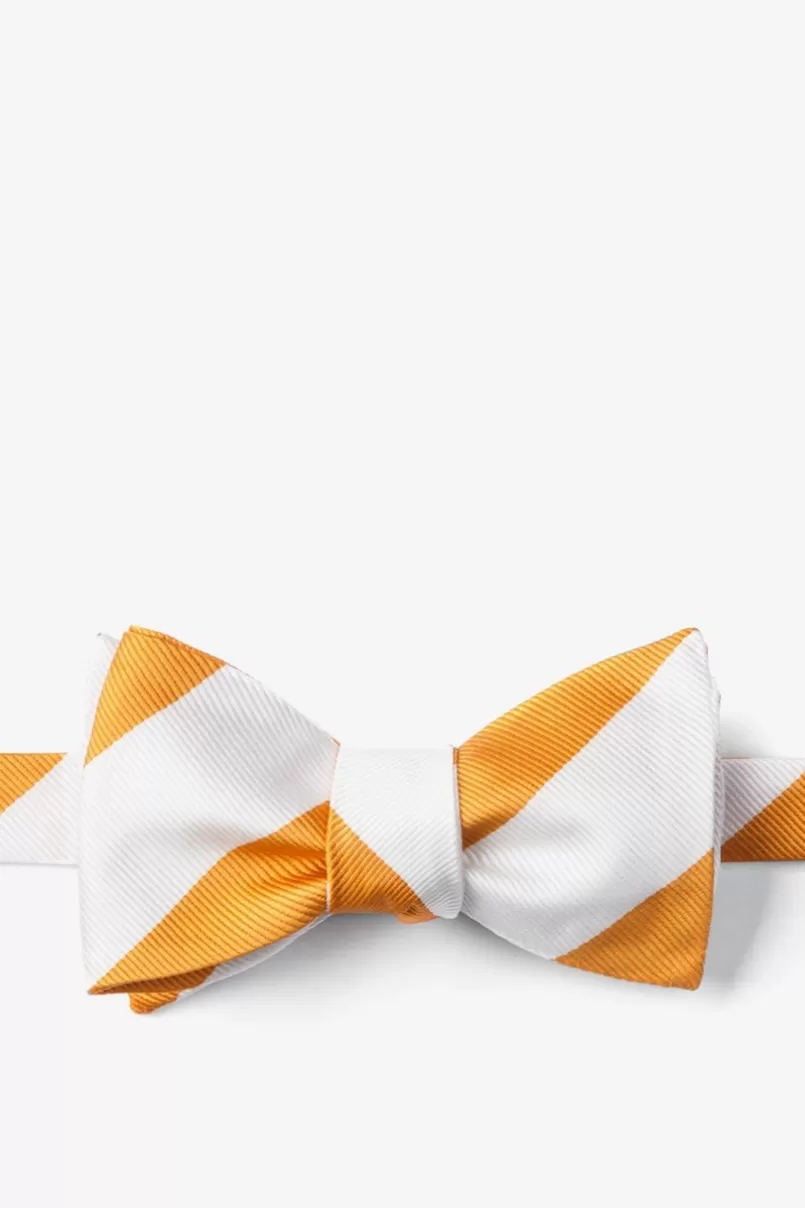 Ties Burnt Orange & White Stripe Self-Tie Bow Tie BurntOrange&White Hot