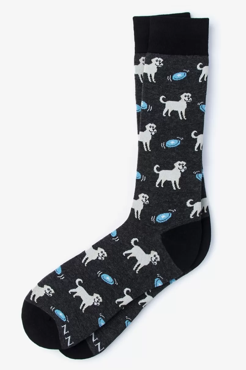 Ties Golden Retriever Sock Black Online