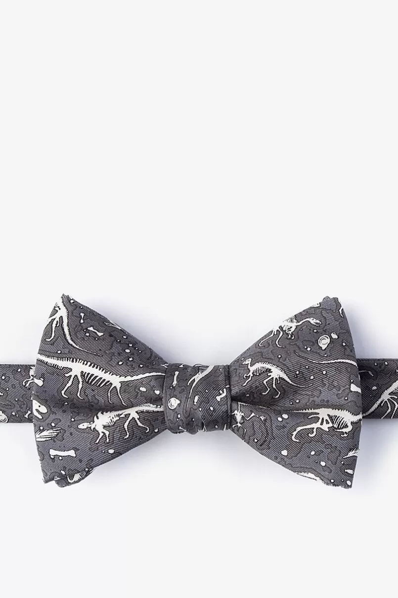 Ties Gray Dig Fossils Self-Tie Bow Tie Best Sale