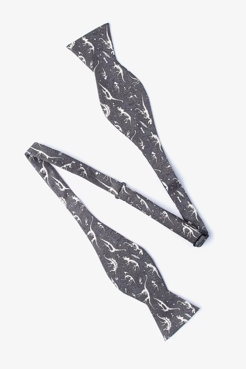 Ties Gray Dig Fossils Self-Tie Bow Tie Best Sale