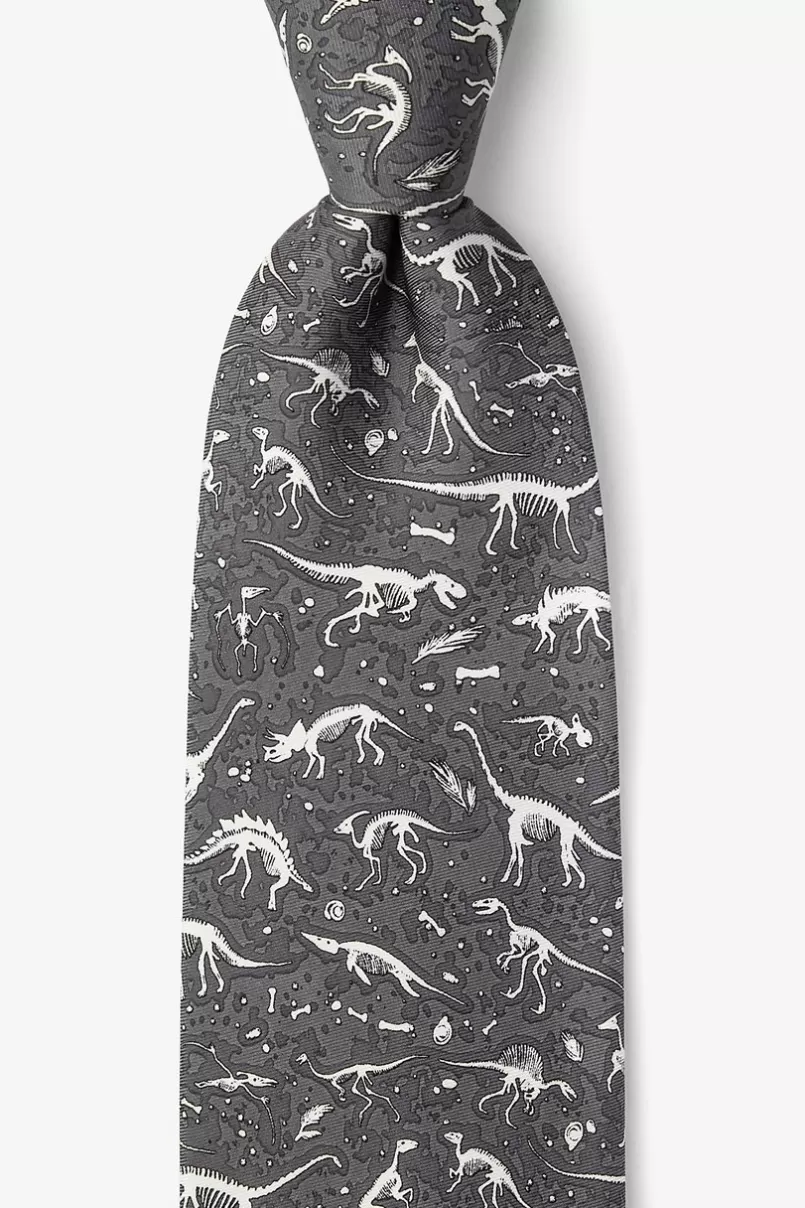 Ties I Dig Fossils Tie Gray Flash Sale