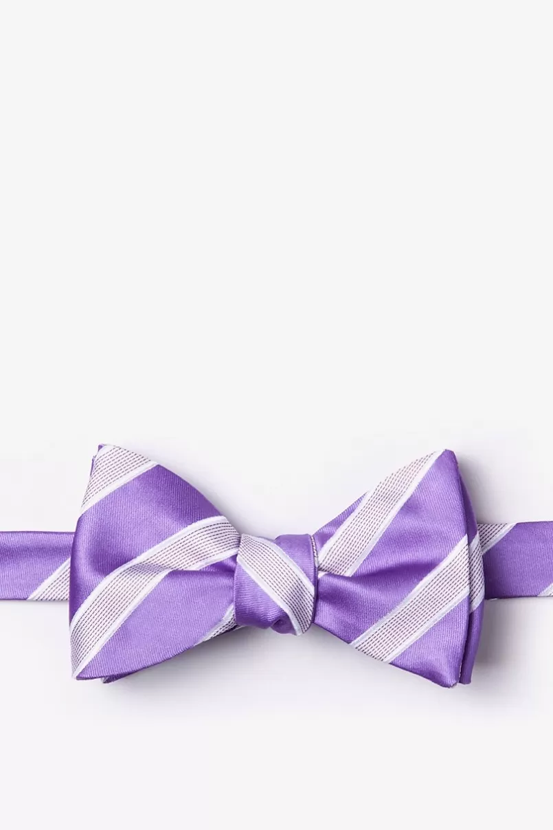 Ties Jefferson Stripe Self-Tie Bow Tie Purple Store