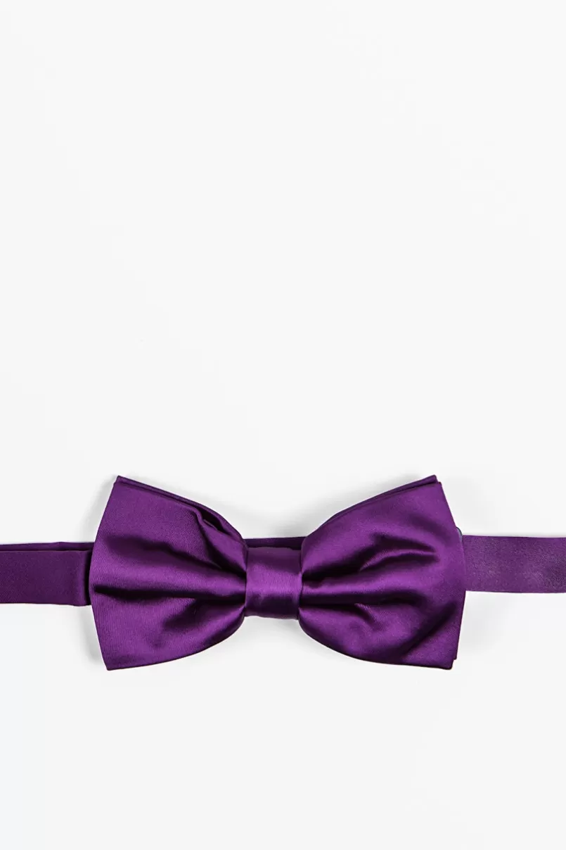 Ties Plum Wine Pre-Tied Bow Tie PlumWine Sale