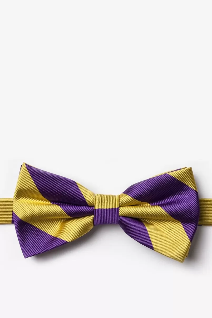 Ties Purple & Gold Stripe Pre-Tied Bow Tie Purple&Gold Fashion